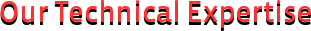 india web design