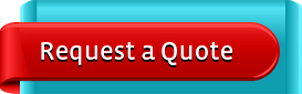 website design india